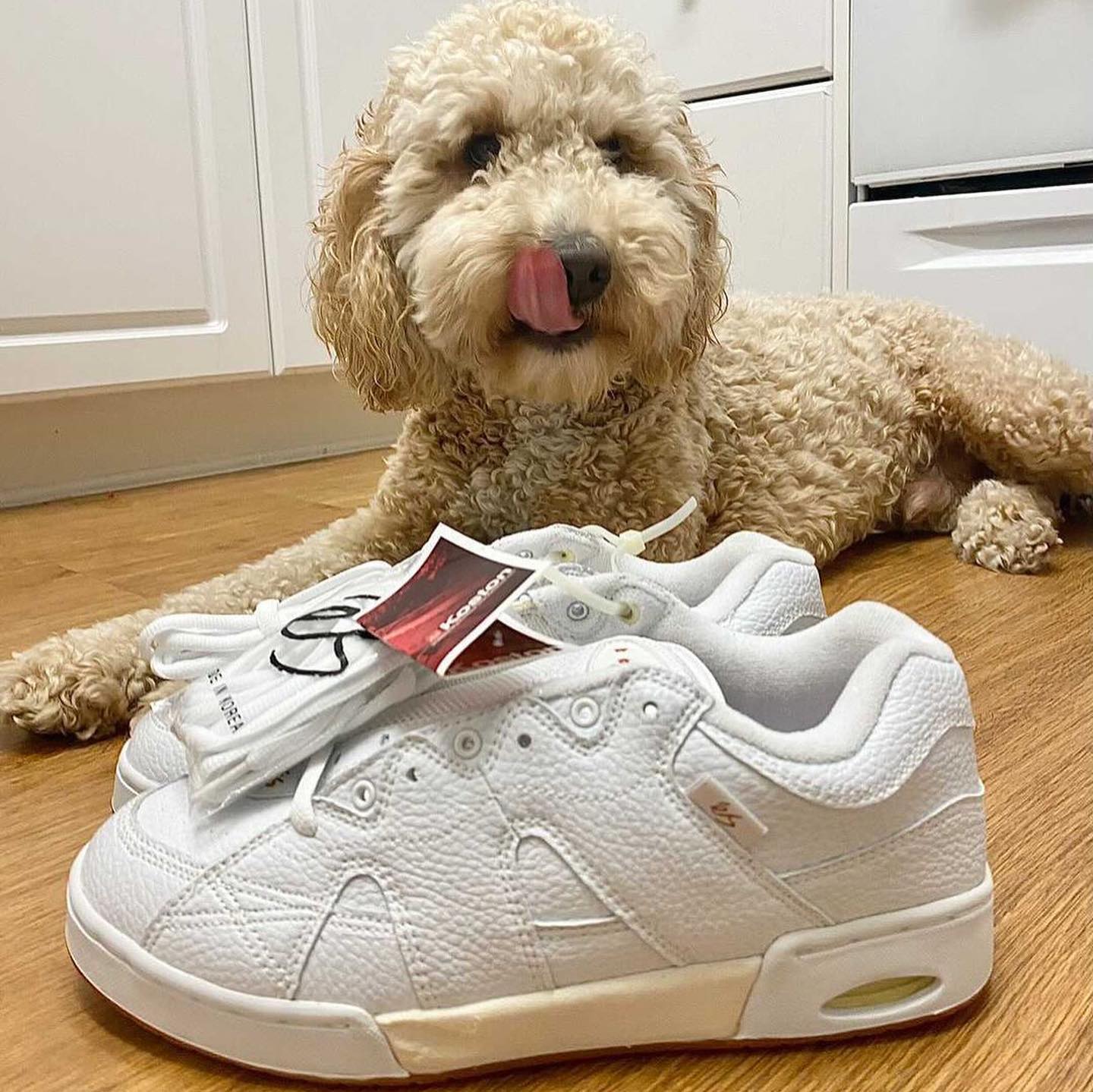 @bijan.zahedi is selling some gnarly #esskateboarding KOSTON 1s size 9.5 ( @bixby_doodle not included). Hit him up to cop, NOT US.  #sk8shoewars